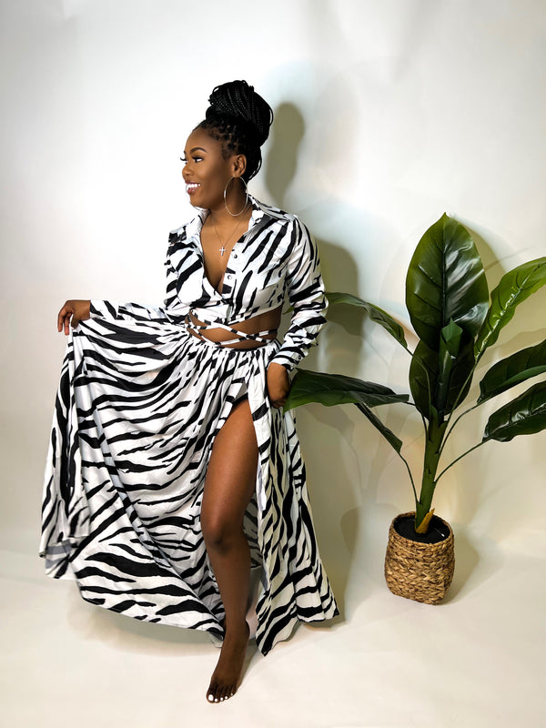 WILD LIFE ZEBRA PRINT SKIRT SET